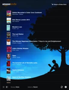 Kindle App for iPad