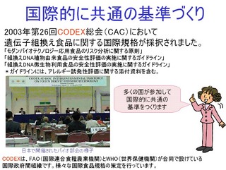 コーデックス委員会