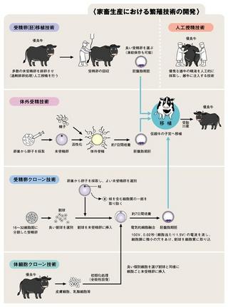 胚細胞クローン