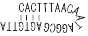 PCR