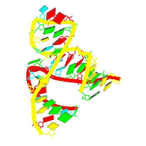自己スプライシングRNA