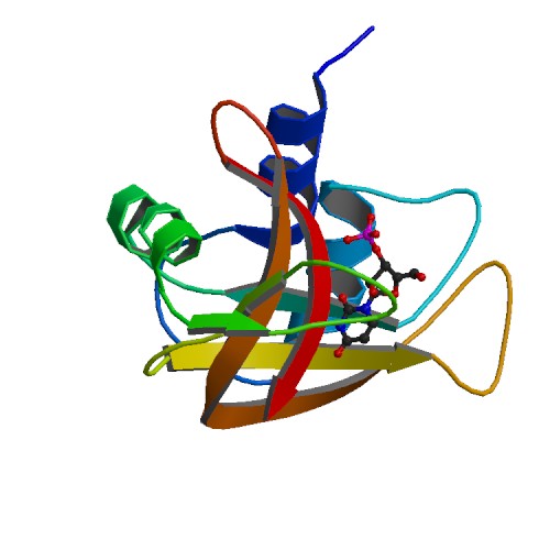 1w4o RNase