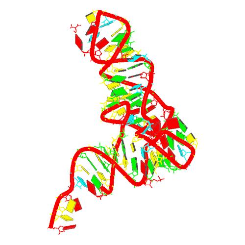 tRNA