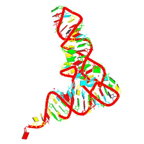 tRNA