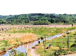 荒地の画像１