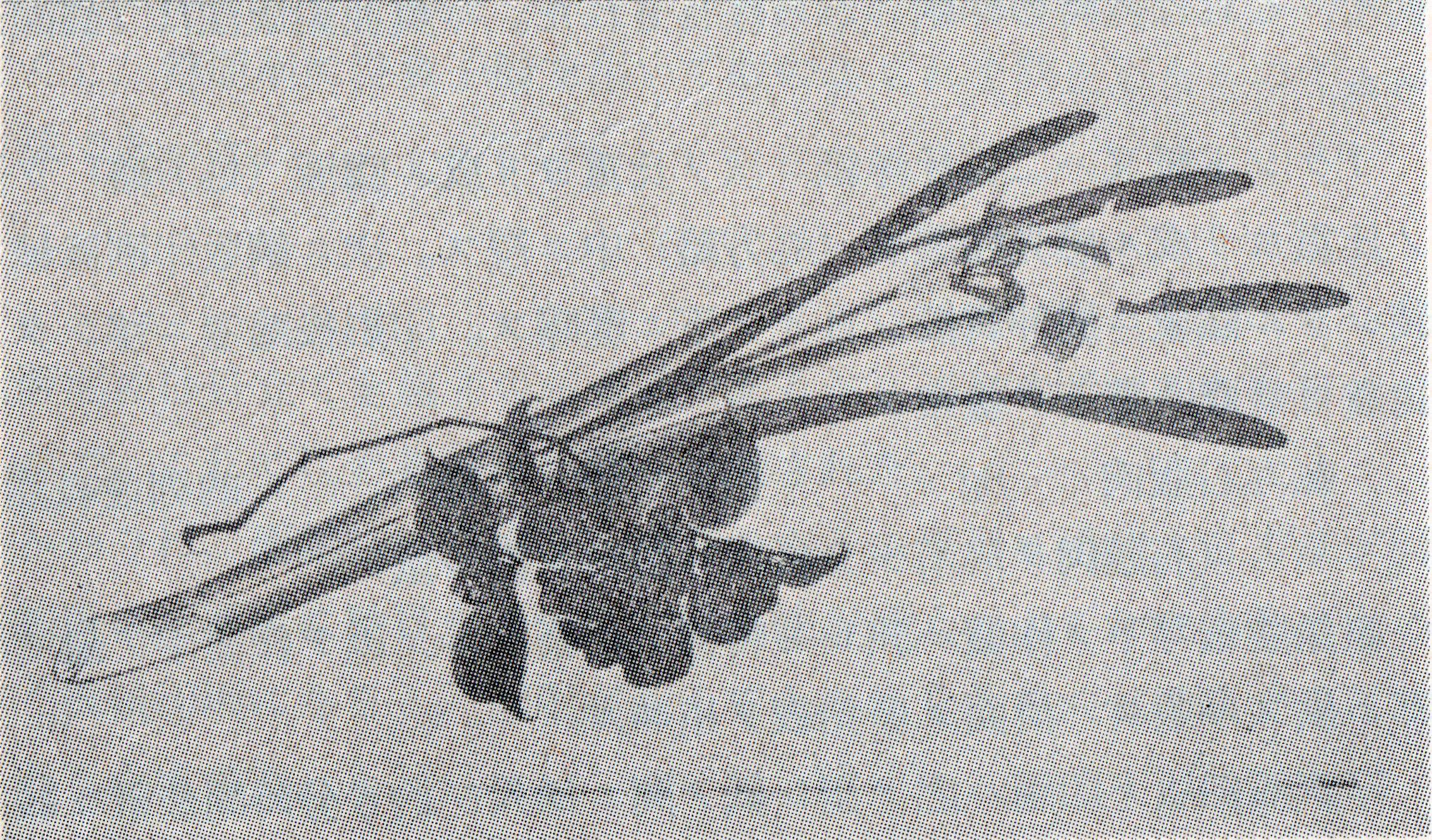 画像ページを表示します 画像