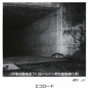 エコロード