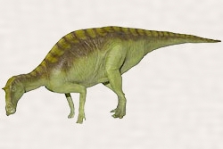 マイアサウラの復元模型