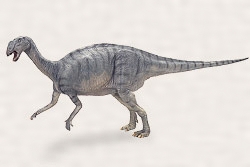 ムッタブラサウルスの復元模型