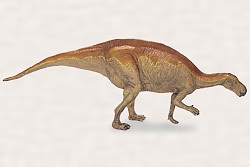 プロバクトロサウルスの復元模型