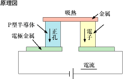 サーモエレクトリック・クーラ