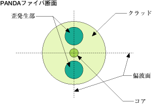 偏波面保存ファイバ