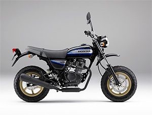 エイプ・100 Type D