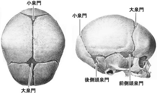 A02100027.jpg (27245 バイト)