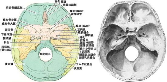 A02100045.jpg (54119 バイト)