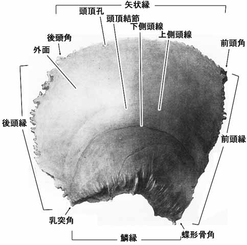 A02102001a.jpg (23149 バイト)