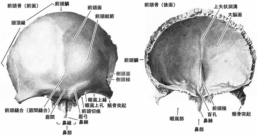 A02103001a.jpg (48419 バイト)