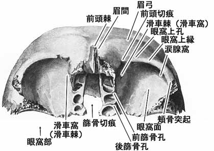 A02103001b.jpg (20239 バイト)