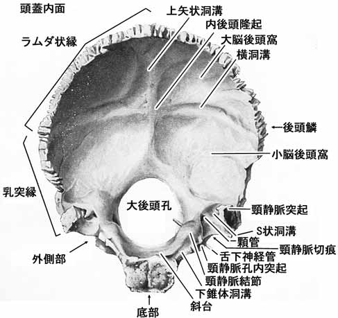 A02104001a.jpg (30600 バイト)