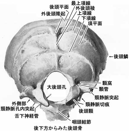 A02104001b.jpg (25265 バイト)