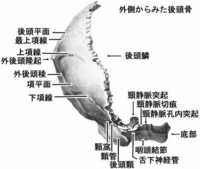 A02104001c.jpg (17012 バイト)