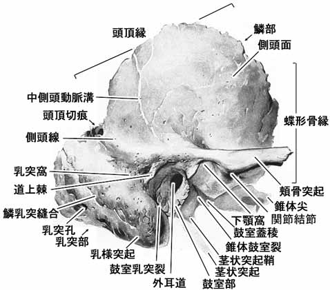 A02106001a.jpg (29113 バイト)
