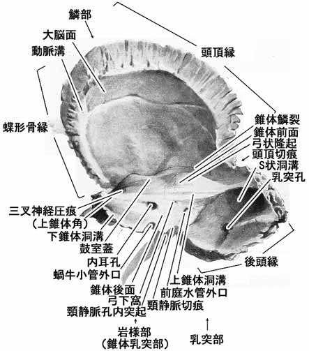 A02106001b.jpg (34127 バイト)