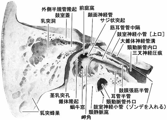 A02106001e.jpg (34207 バイト)