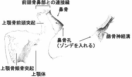 A02110001.jpg (11188 バイト)