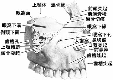 A02112001a.jpg (18374 バイト)