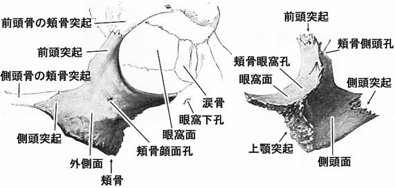 A02114001.jpg (21858 バイト)