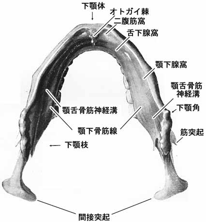 A02115001a.jpg (19799 バイト)