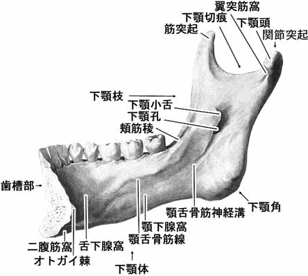 A02115001c.jpg (19716 バイト)