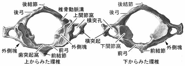 A02202001b.jpg (20193 バイト)