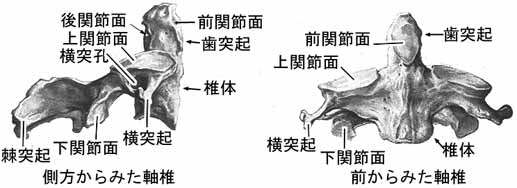 A02202001c.jpg (16865 バイト)