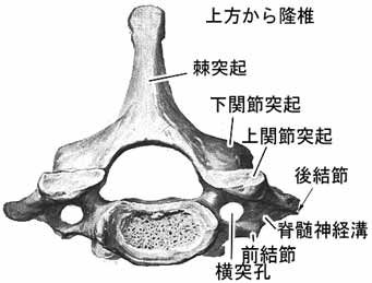 A02202001d.jpg (12500 バイト)