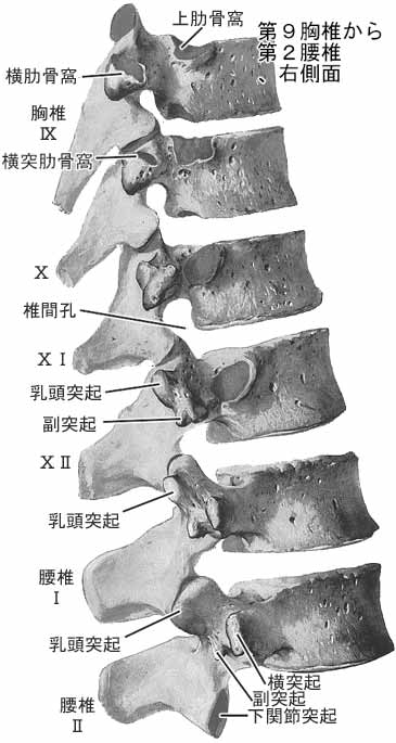 A02203001a.jpg (34092 バイト)