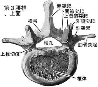 A02204001b.jpg (16858 バイト)