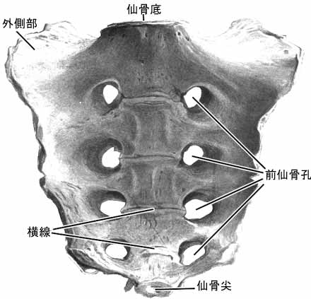 A02205001a.jpg (22350 バイト)
