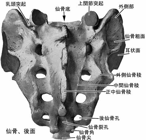 A02205001b.jpg (30244 バイト)