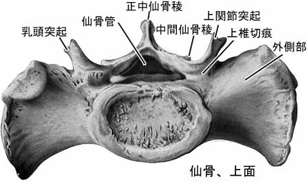 A02205001c.jpg (17607 バイト)