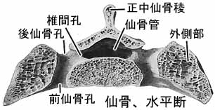 A02205001d.jpg (11245 バイト)