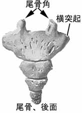 A02206001b.jpg (4999 バイト)