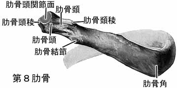 A02302001c.jpg (9426 バイト)