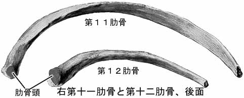 A02302001d.jpg (12338 バイト)