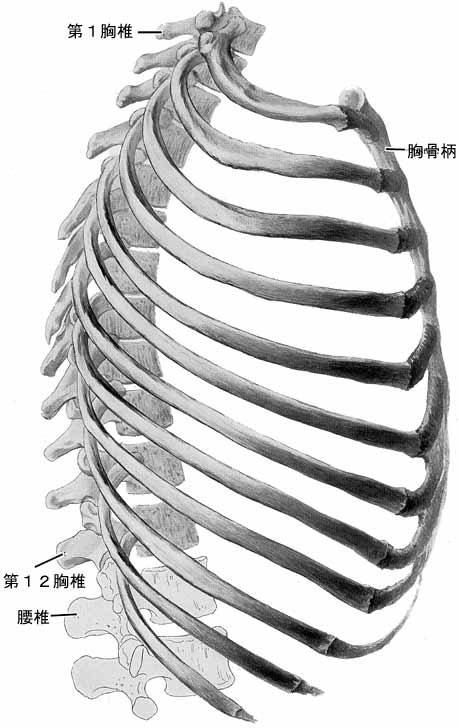 A02304001c.jpg (40643 バイト)