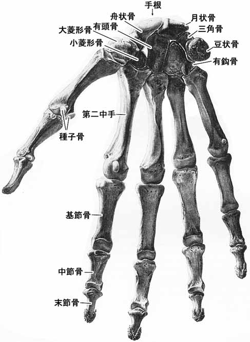 A02407001a.jpg (33774 バイト)