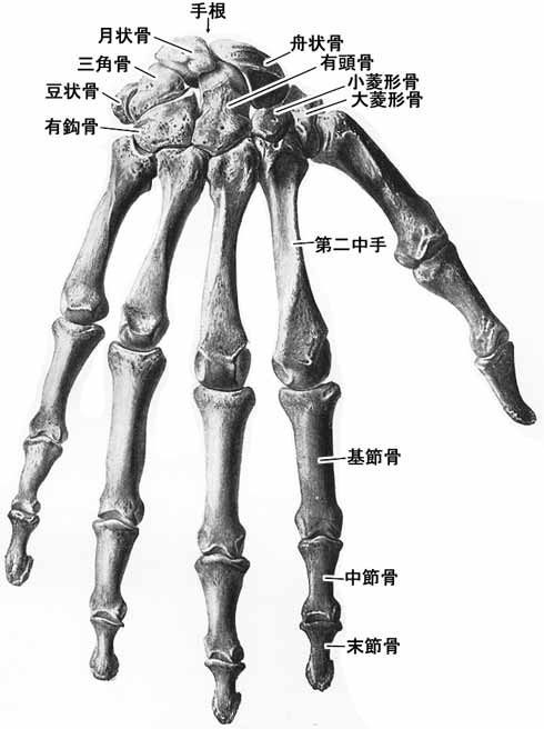 A02407001b.jpg (32789 バイト)