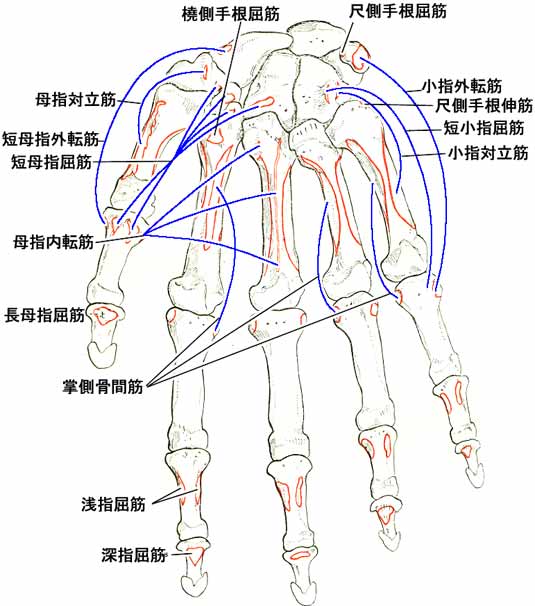 A02407001c.jpg (44981 バイト)