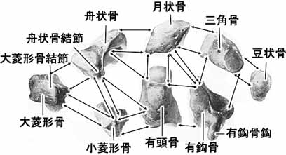 A02408001a.jpg (15314 バイト)